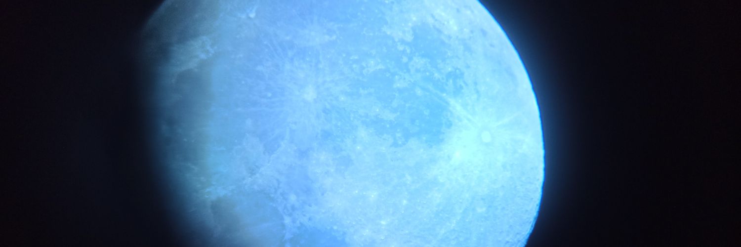 SelGMyGoddess's profile banner image