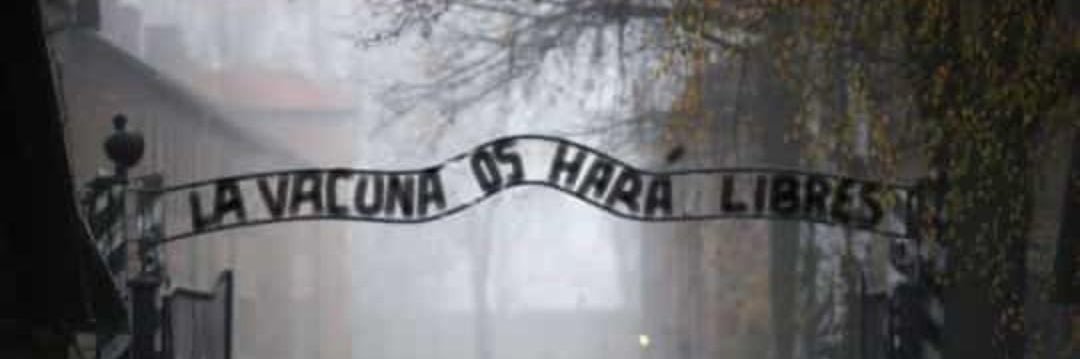 Sobreviviente de la #plandemia banner