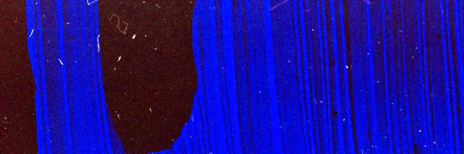 Natalie Marie banner