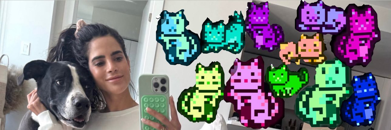 Stefbobefy's profile banner image