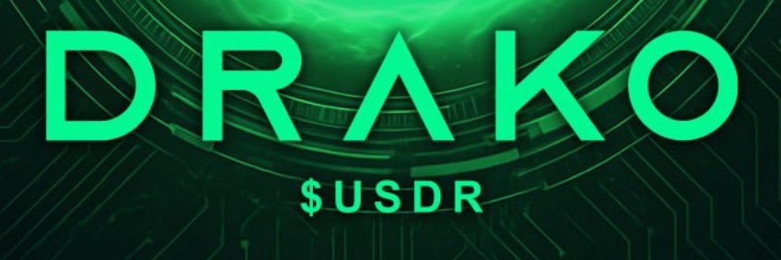 Dragon Punks ✳️'s banner