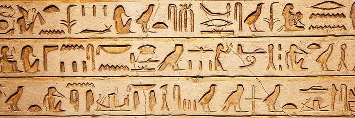 Anubis banner