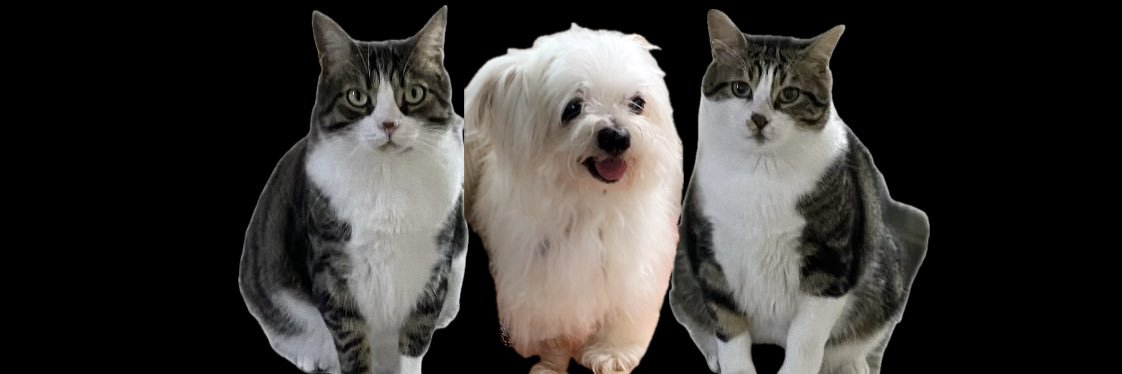 tugcebhcc's profile banner image