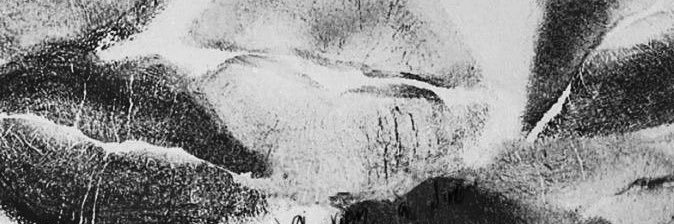 SiilDavalos's profile banner image