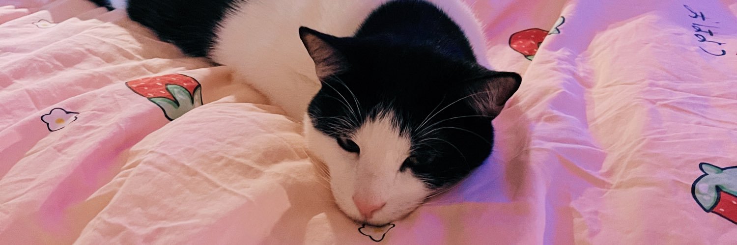 ChocolatexChar's profile banner image