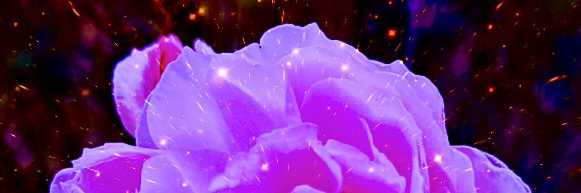 BlackMoonMother's profile banner image