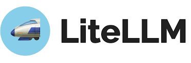Lite LLM banner