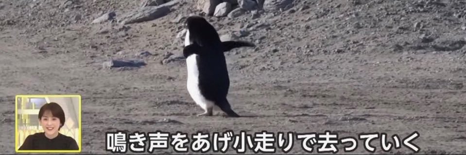 とっくん banner