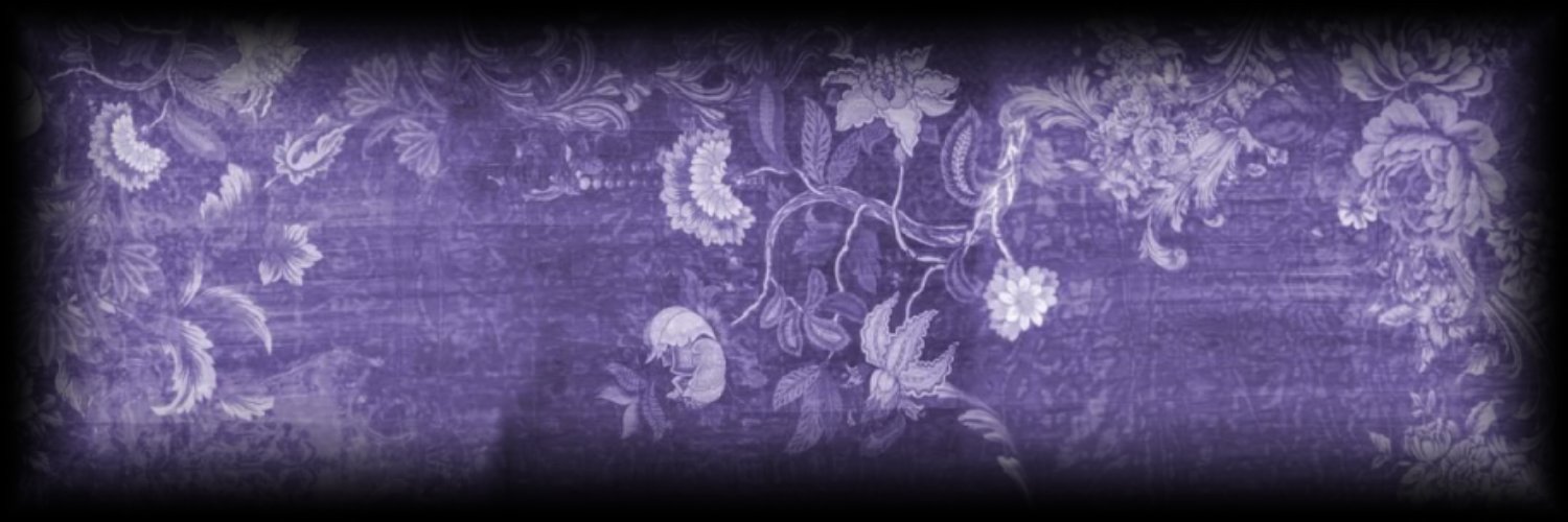 ꒰🪽꒱﹒elisa ig﹒⟢'s banner