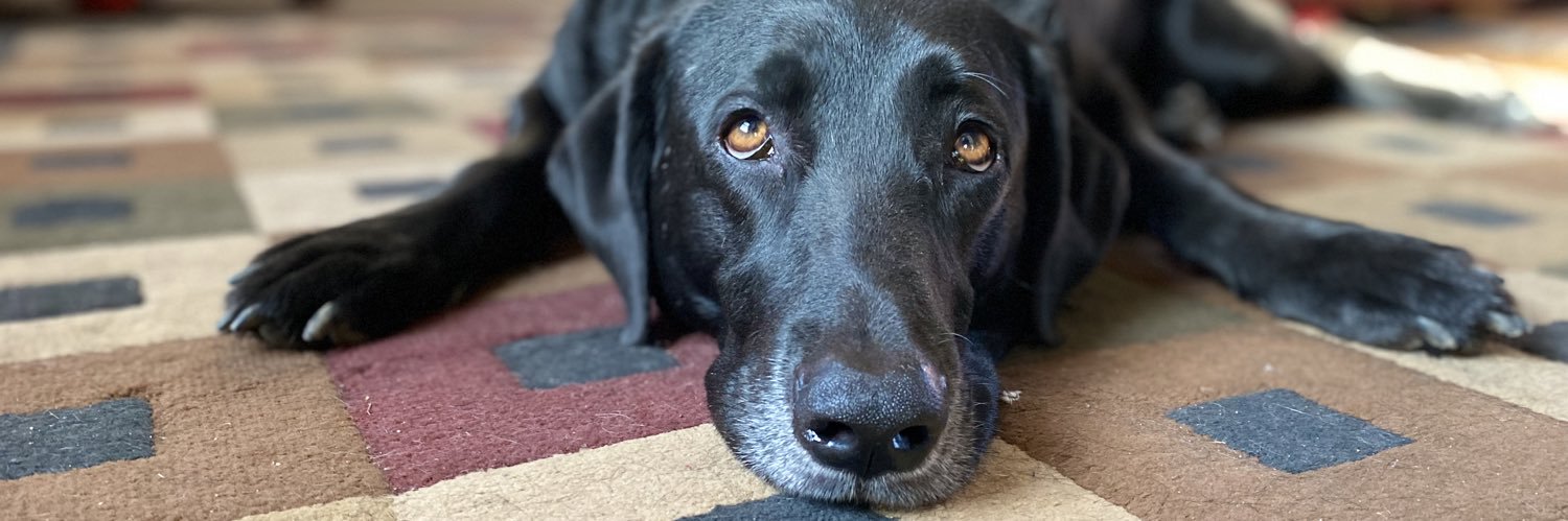 DeeWilson24's profile banner image