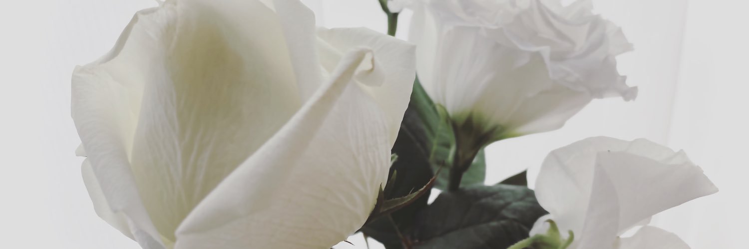 nene_piko's profile banner image