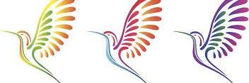 SPAge_Wellness's profile banner image