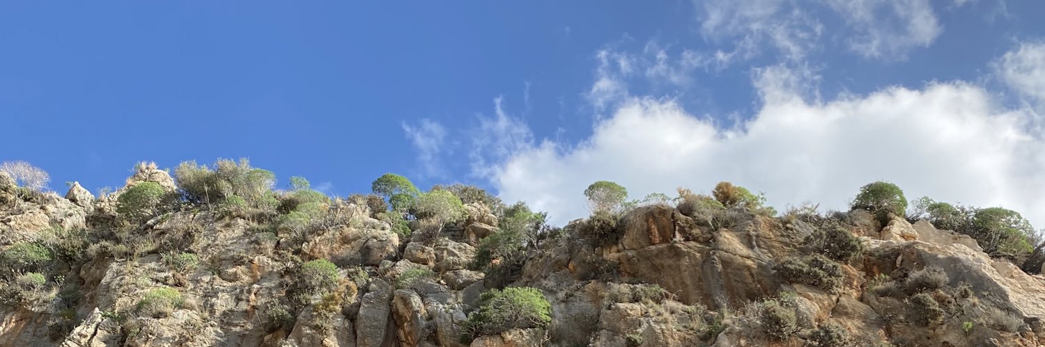 EmreKalyn's profile banner image