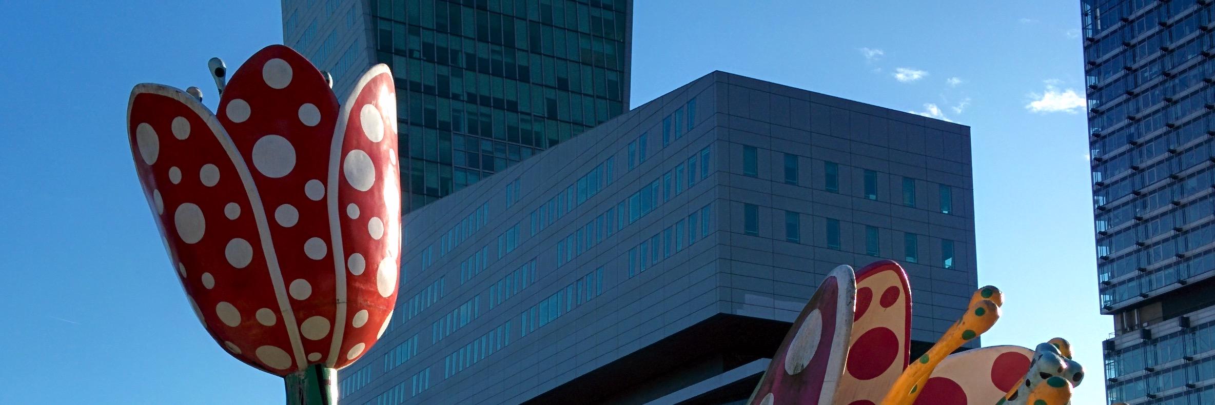 delabassee's profile banner image
