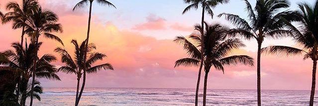 nicholei's profile banner image