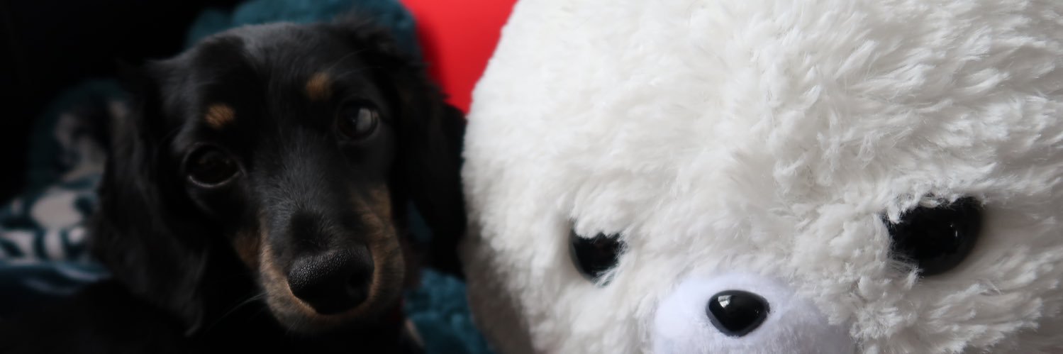 MoochiePython's profile banner image