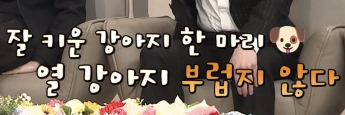 거노 banner