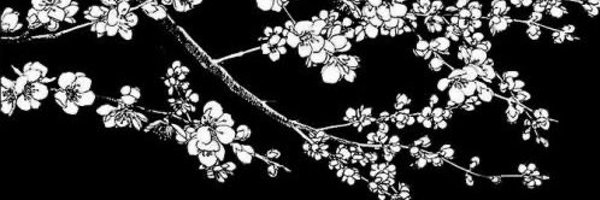 shotakaworu Profile Banner