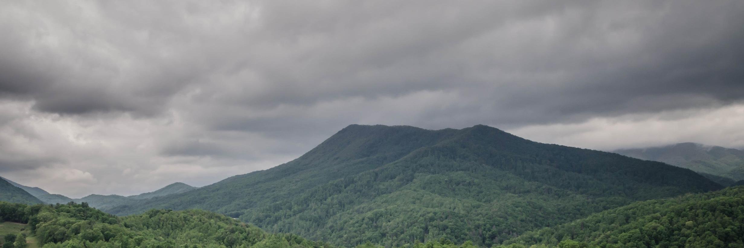 loudivers's profile banner image