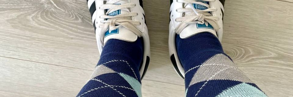 Pferdemädchen banner