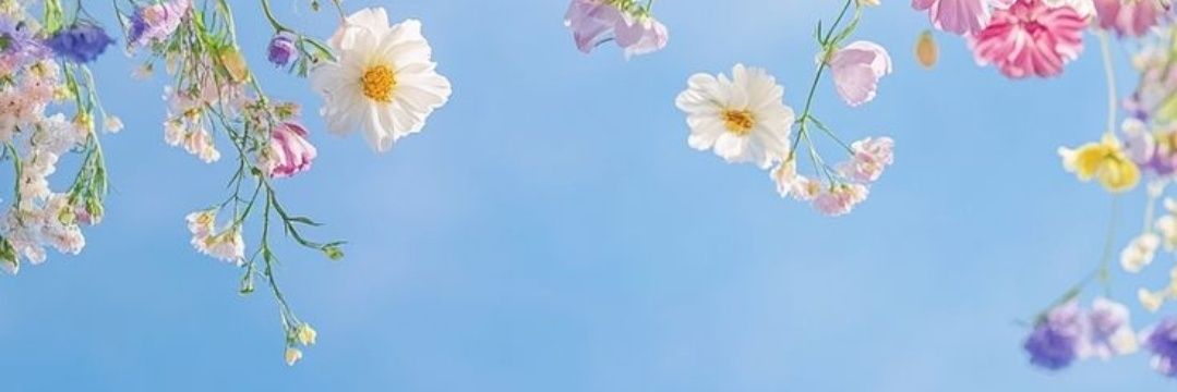 Cikaaa 💐💝✨️ banner