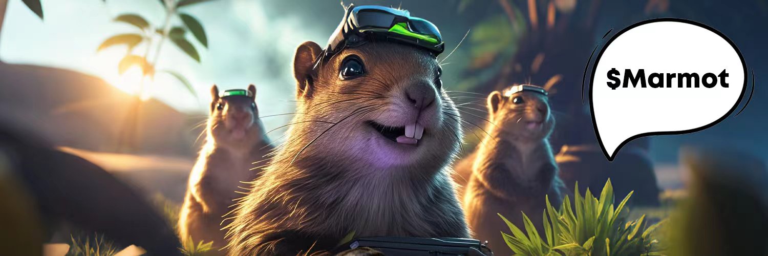 MARMOT banner