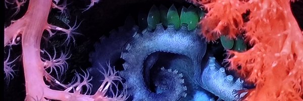 BUBYTTALT Profile Banner