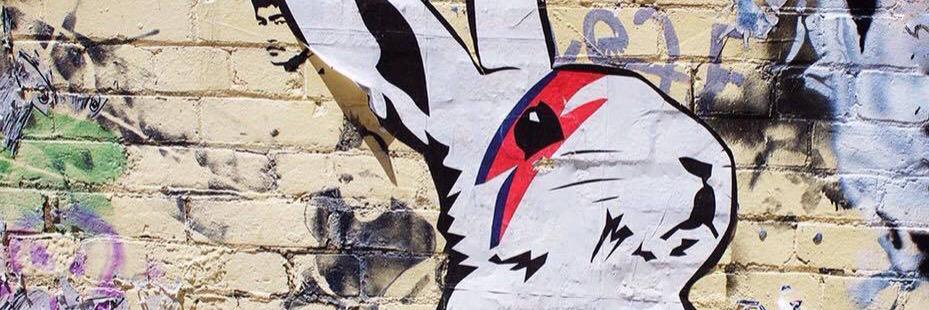 bowiebunny's profile banner image