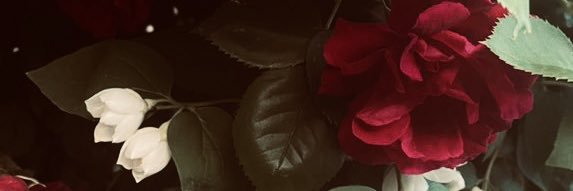 max 🥀 banner