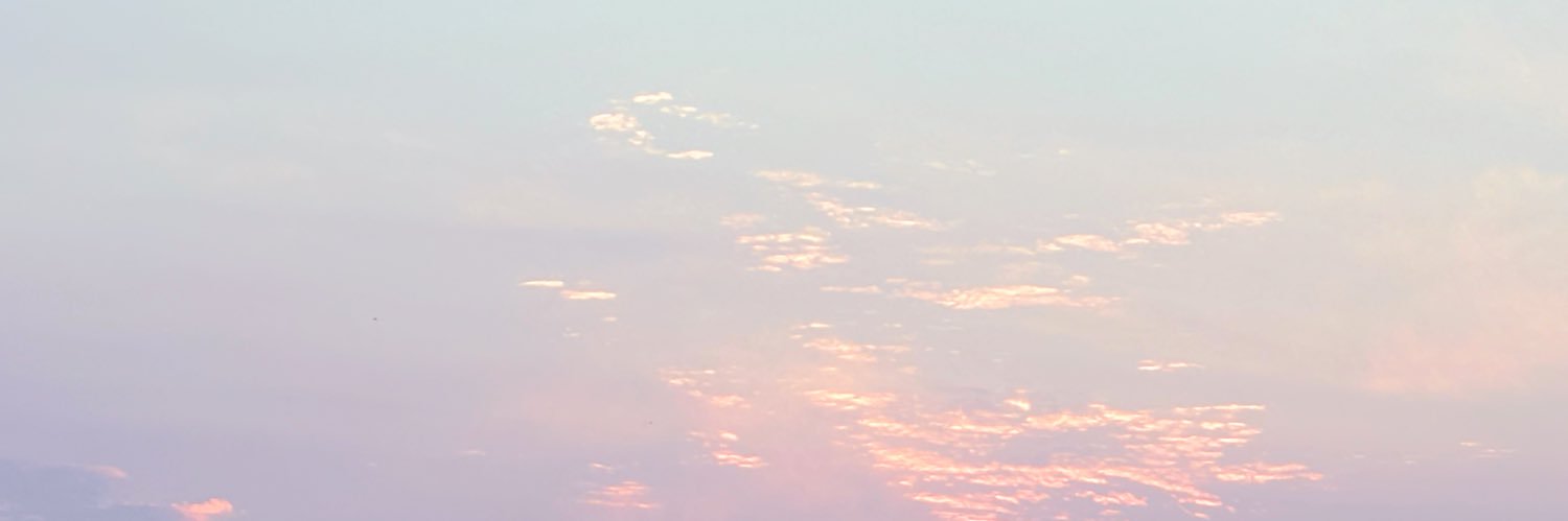 (._.)'s banner