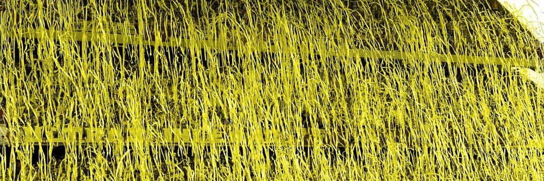 fgismalla's profile banner image