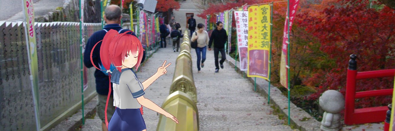 zerudhia's profile banner image