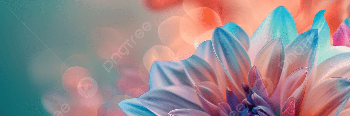 nirr357946's profile banner image