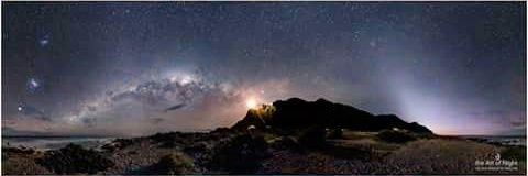 猫になりたい banner