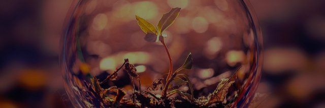 PHOTODRIMM's profile banner image
