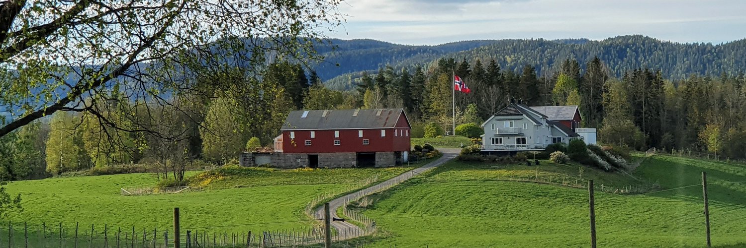Erlend Vagnild Fuglum banner