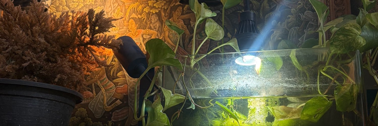 forreadfoewebb's profile banner image