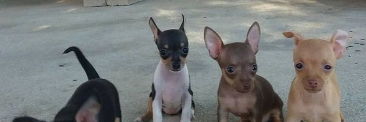Luijo0820's profile banner image