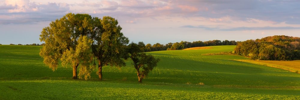 kelbyuk's profile banner image