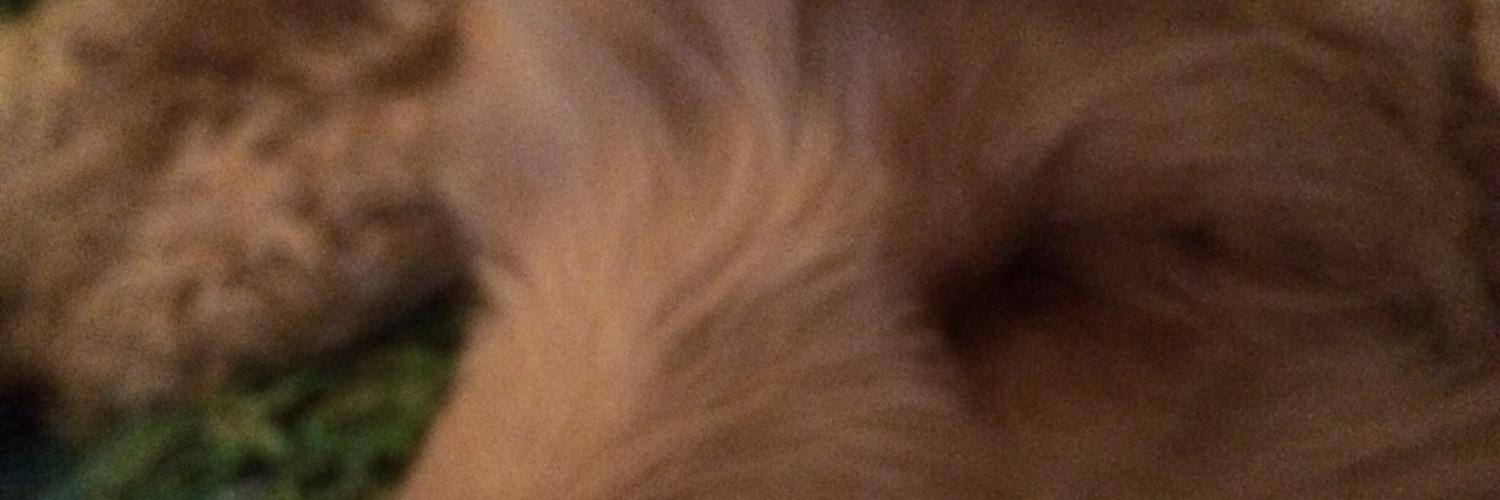 pictsi's profile banner image