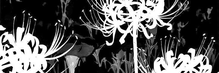 𝐌𝐚𝐫𝐲 banner