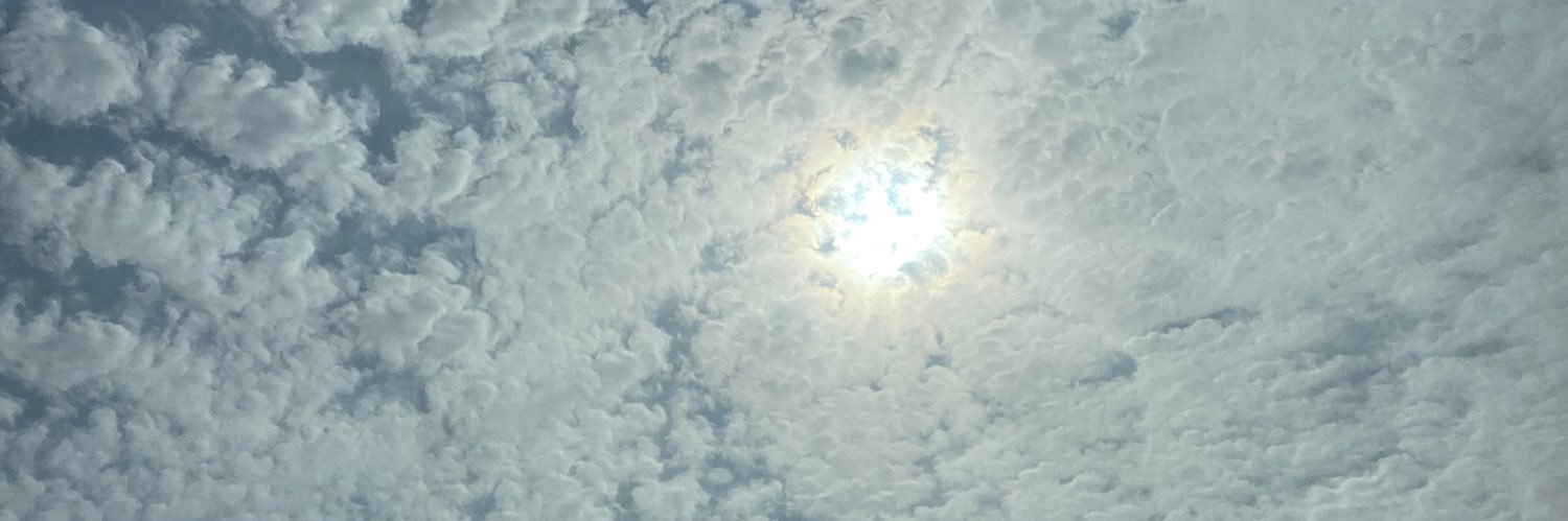 Taraba_qsr's profile banner image
