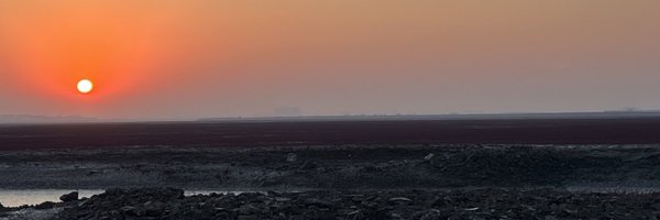 longanseed Profile Banner