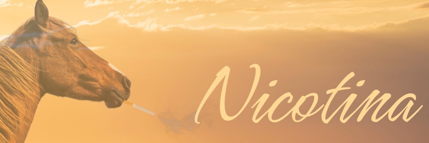 colette_nicc's profile banner image