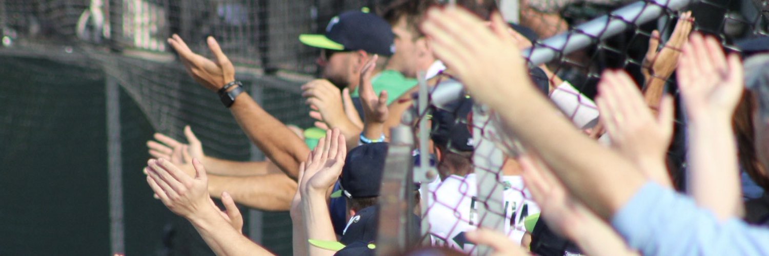 Worcester Bravehearts💚⚾ Profile Banner