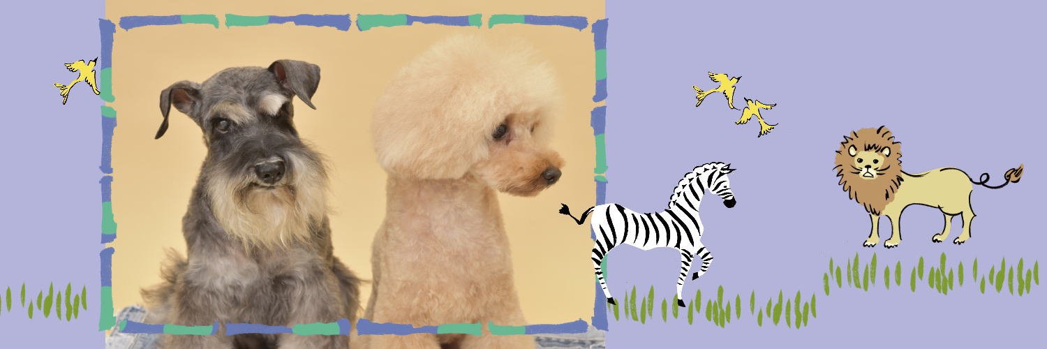 cherie_leef's profile banner image