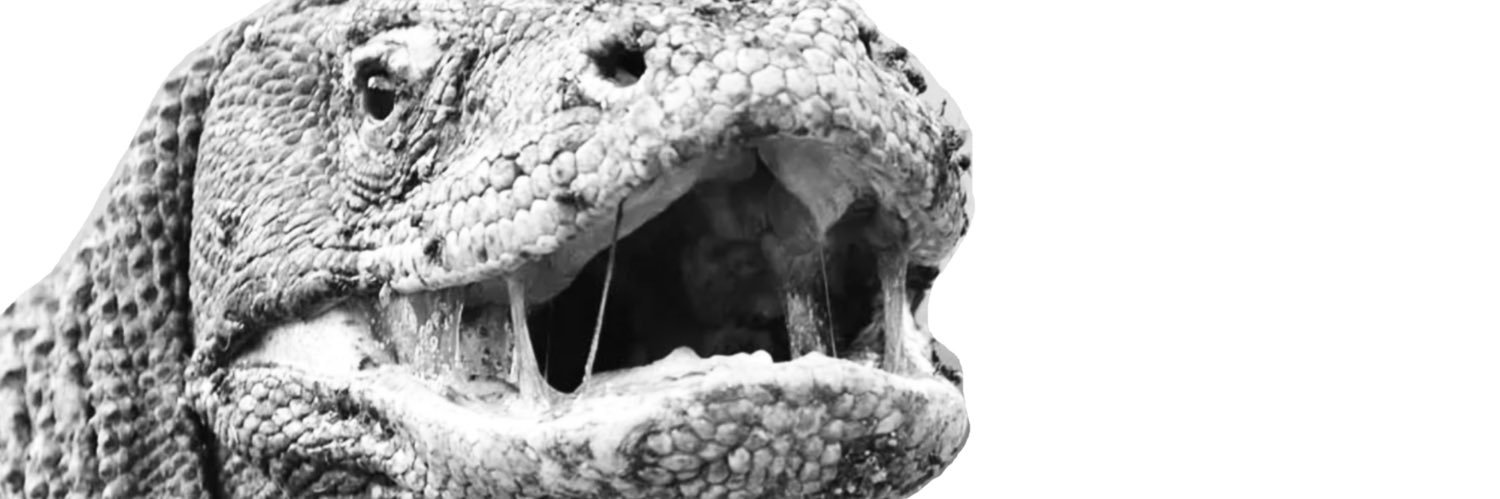 Little Man 🌎 banner