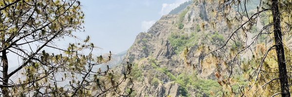 invertshanky Profile Banner