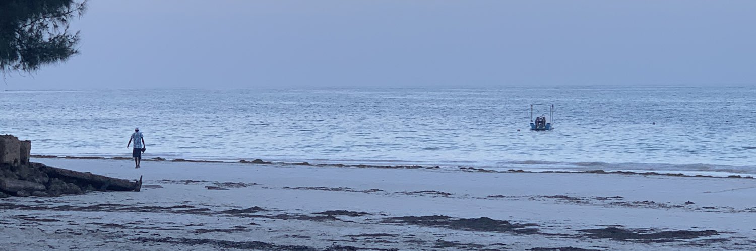 nancyburger's profile banner image