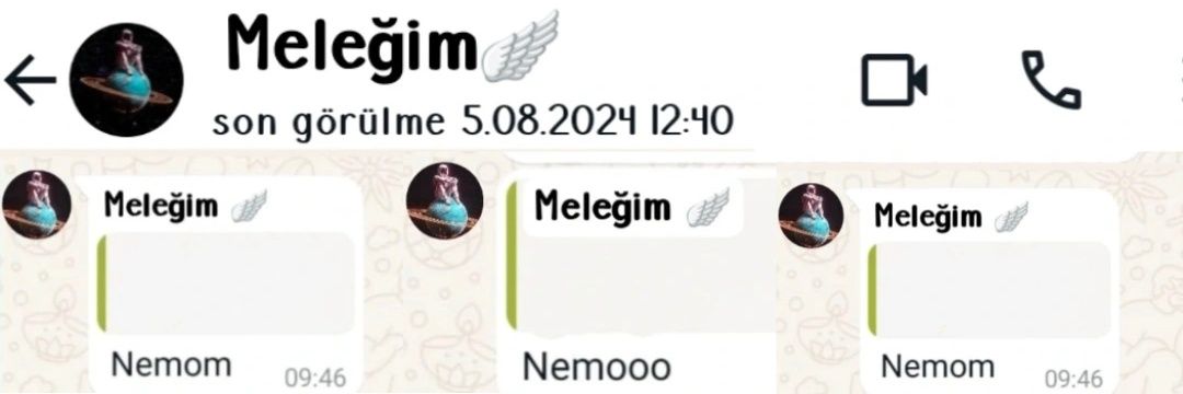 Nemo banner